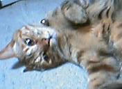 050411_2056002.jpg