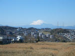 きれいな富士山