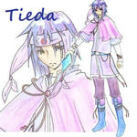 settei-tieda3.jpg