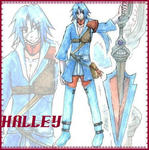 settei-halley06.jpg