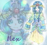 settei-ilex3.jpg