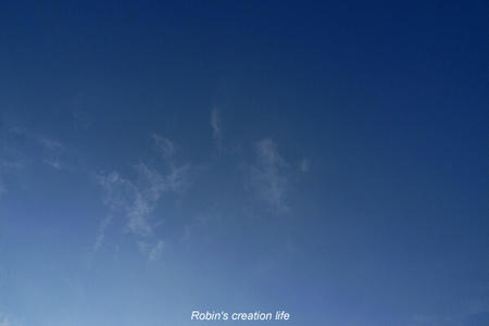 other048.JPG