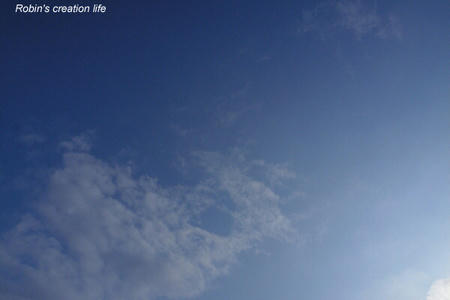 other049.JPG