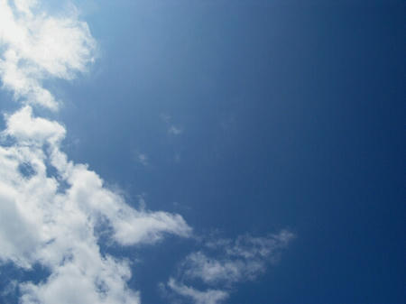 other054.JPG