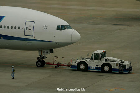 other082.JPG