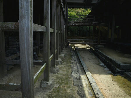 other216.JPG