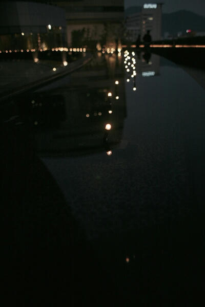 img8229.jpg