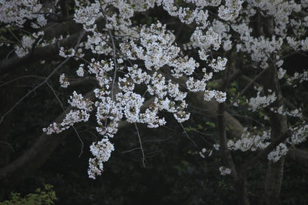 other434.JPG