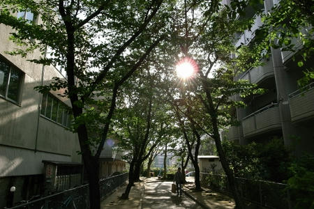 other445.JPG