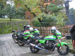 a410f48f.jpg