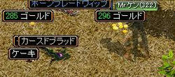 222.JPG