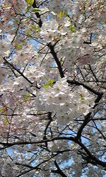 100410_1634_02.jpg