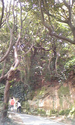 100503_1114_01.jpg