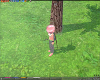 mabinogi_2008_01_16_004.jpg