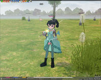 mabinogi_2008_02_04_001.jpg