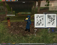 mabinogi_2008_03_05_003.jpg