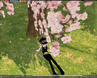 mabinogi_2008_03_27_002.jpg
