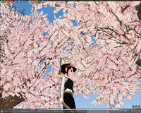 mabinogi_2008_03_27_003.jpg