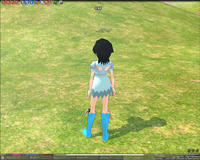 mabinogi_2008_07_07_003.jpg