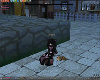 mabinogi_2008_10_07_002.jpg