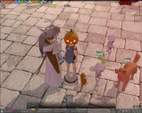 mabinogi_2008_10_23_015.jpg