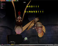 mabinogi_2008_11_01_004.jpg