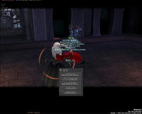 mabinogi_2008_11_01_010.jpg