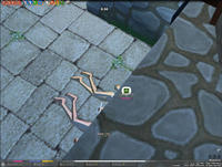 mabinogi_2008_11_30_001.jpg