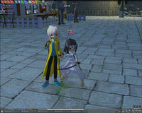 mabinogi_2008_12_11_011.jpg