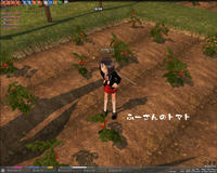 mabinogi_2009_02_24_004.jpg