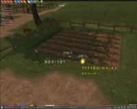 mabinogi_2009_02_24_005.jpg