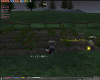 mabinogi_2009_02_24_006.jpg