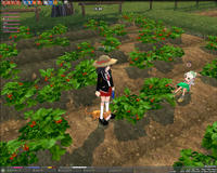 mabinogi_2009_02_24_013.jpg
