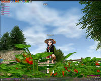 mabinogi_2009_02_24_014.jpg