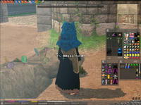 mabinogi_2009_03_05_001.jpg