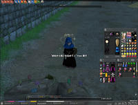 mabinogi_2009_03_05_014.jpg
