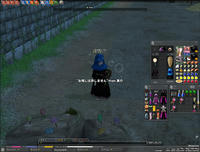 mabinogi_2009_03_05_015.jpg