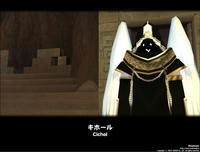 mabinogi_2009_04_18_003.jpg