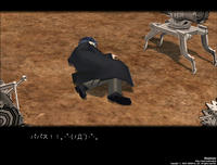 856ff781.jpeg