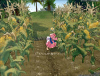 3cfd1b4b.jpeg