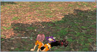 276d6f2f.jpeg