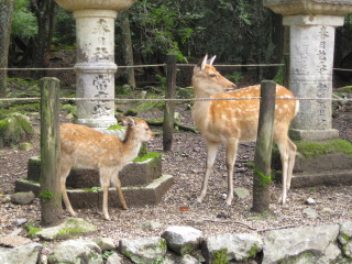 IMG_3763.JPG