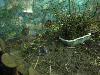 IMG_4186.JPG