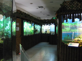 IMG_4189.JPG