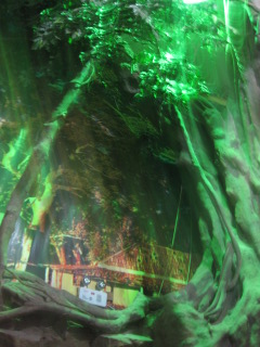 IMG_4190.JPG