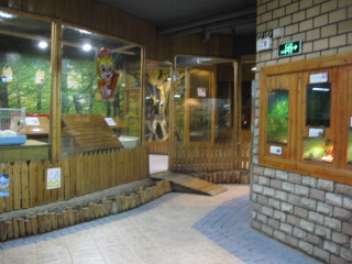 IMG_4191.JPG