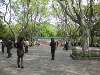 IMG_4385.JPG