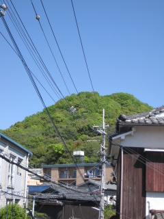 IMG_4452.JPG
