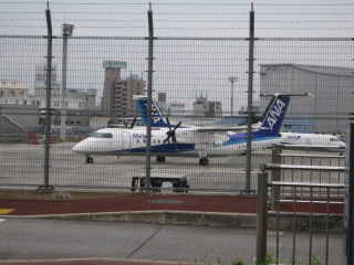 IMG_4549.JPG