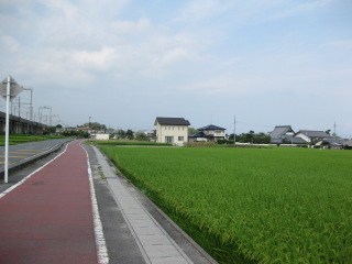 IMG_4729.JPG